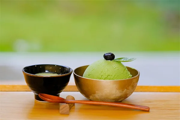 冬でも植物は増やせる？コツと失敗例を解説