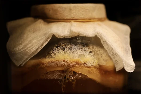 Mandela's Gold ゴクラクチョウカ育て方のコツ:花を咲かせる方法
